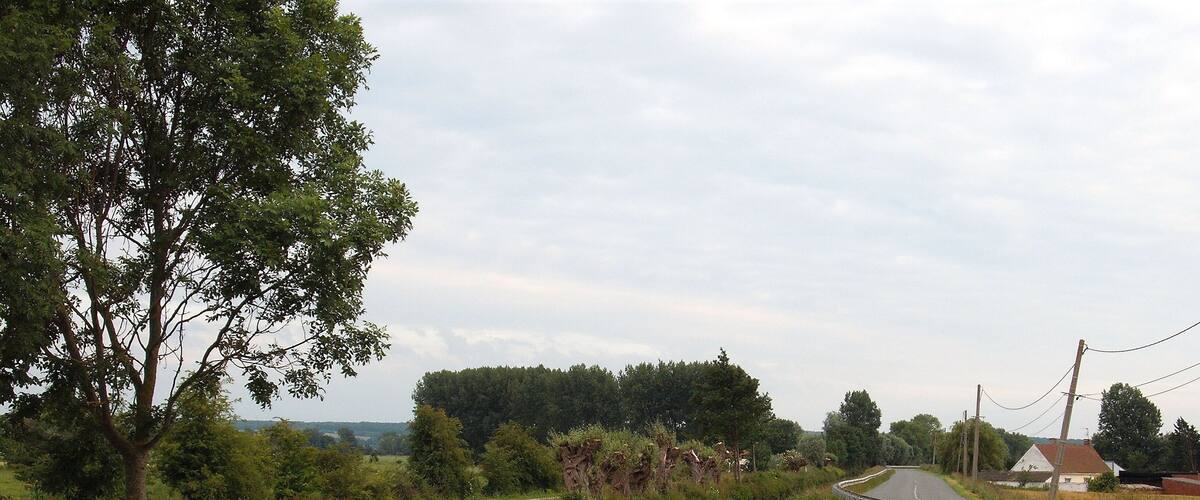 A narrow waterway flanked by lush greenery and a road curving to the right.