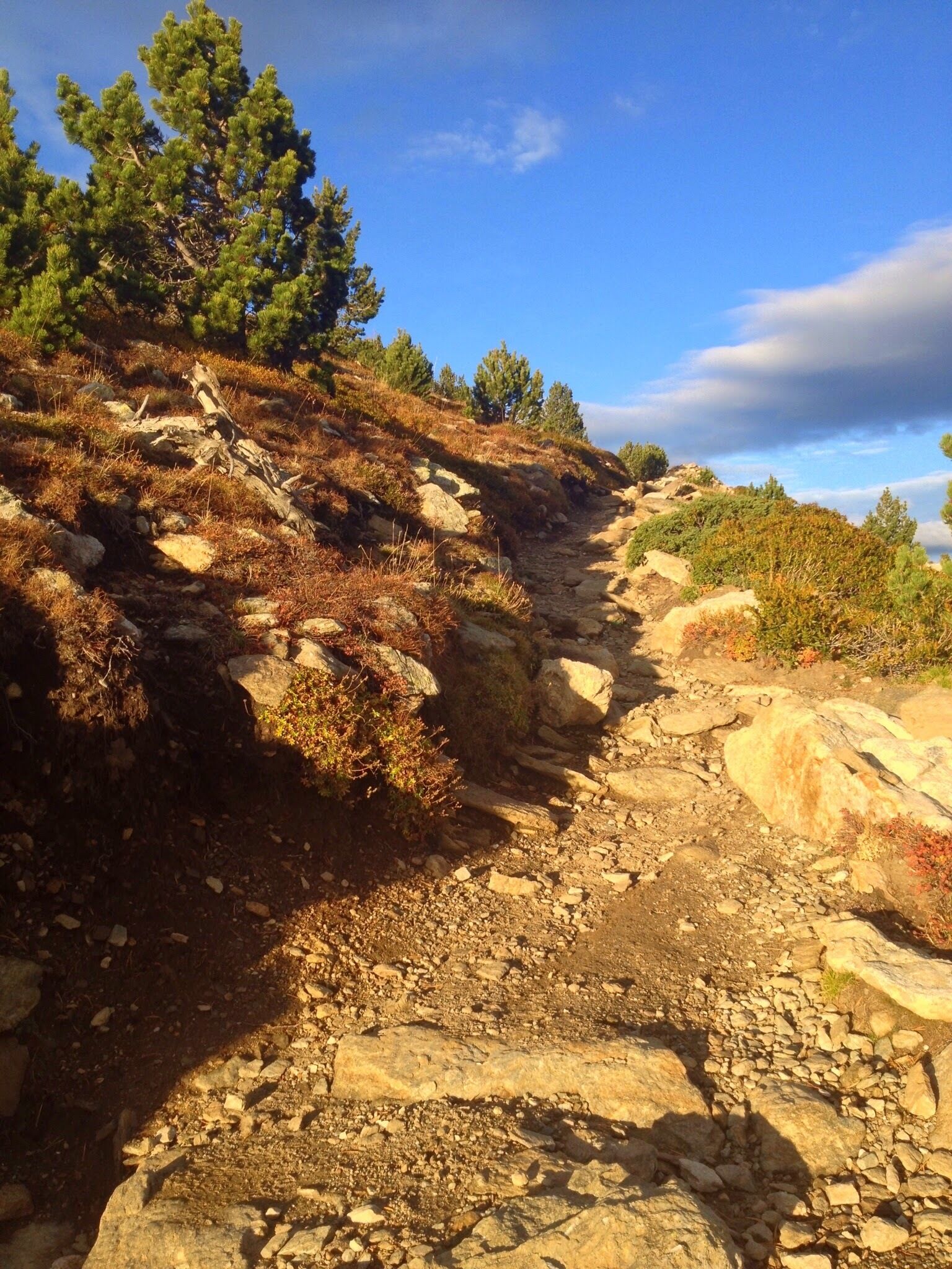 66500 Taurinya, France