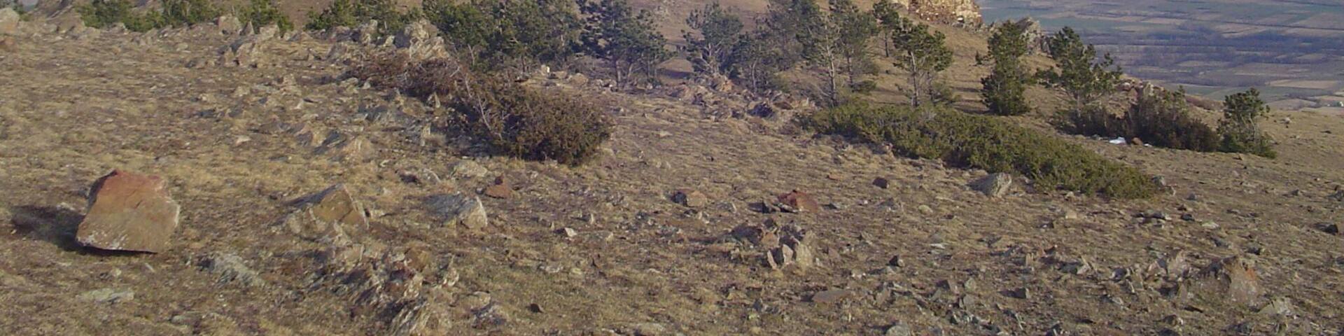 Bell-lloc (febrer 2007)