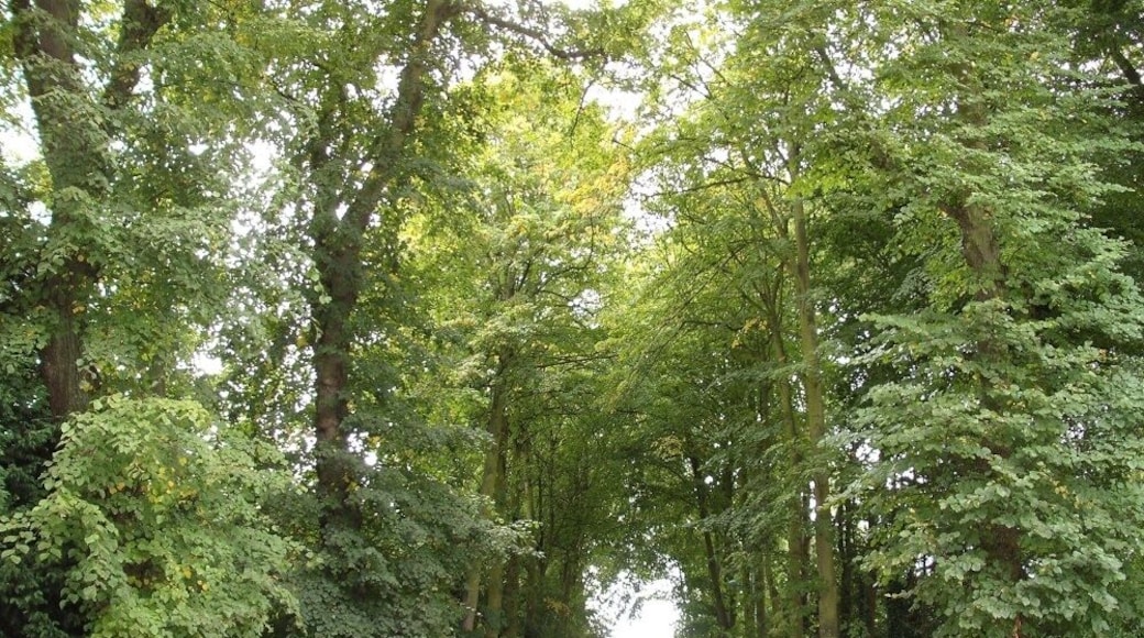 Ardres - Route de Licques