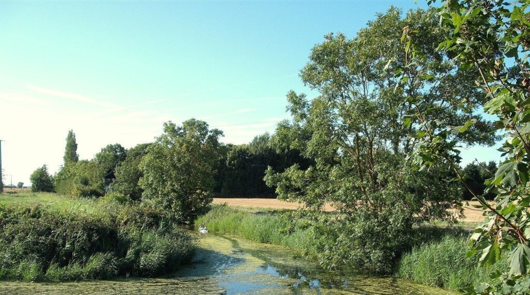 Watergang près de Guemps