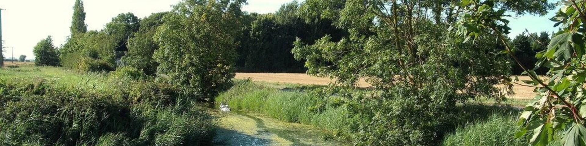 Watergang près de Guemps