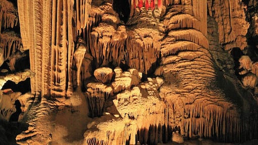 Grotto of the Demoiselles: A karst cave in the Cevennes, France. The cave consists of a network of corridors that are grouped around a central grotto (Cathédrale Souterraine) with a length of 120 meters with a width of 80 meters and a height of 52 meters.
