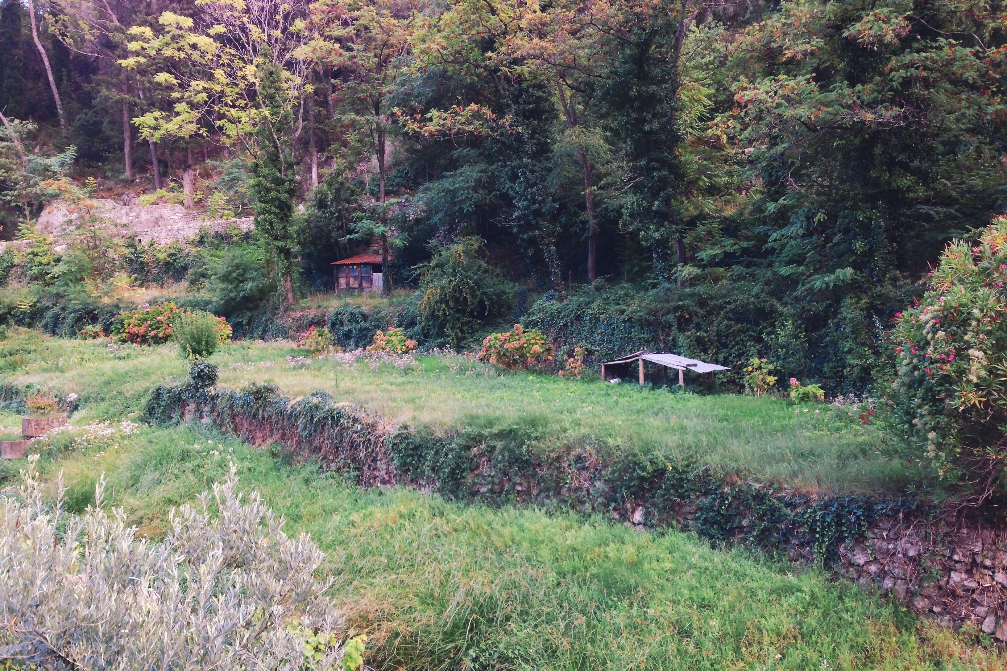 Processed with VSCOcam with k2 preset