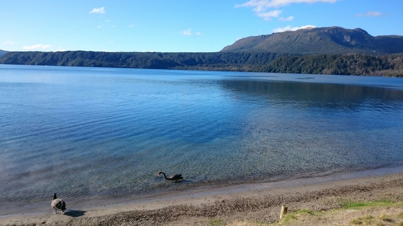 Le salagou au printemps