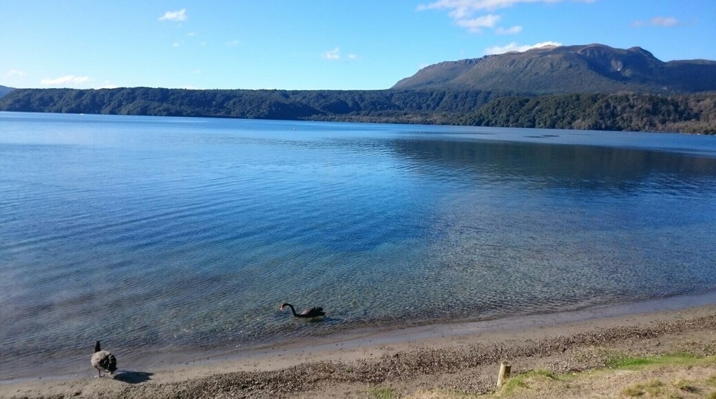 Le salagou au printemps