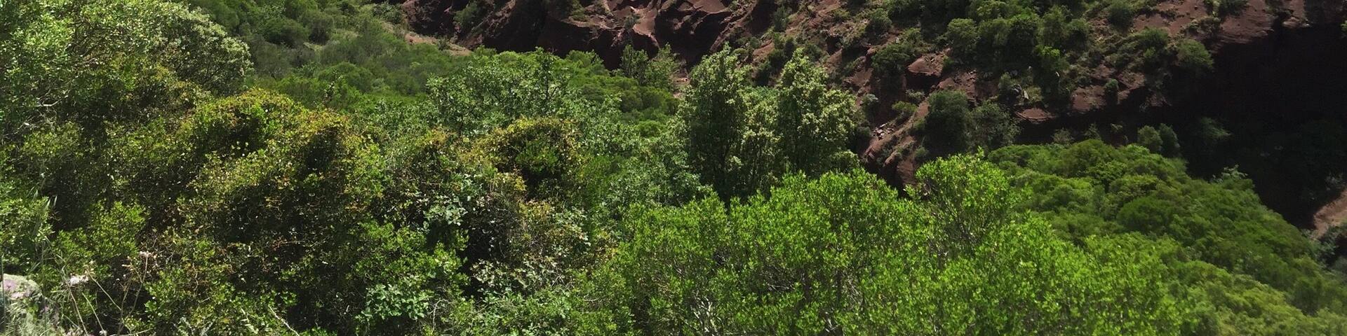 Lac du Salagou / Salagou Lake
Artificial lake created at the end of the 1960s and surrounded by hills formed from red rock