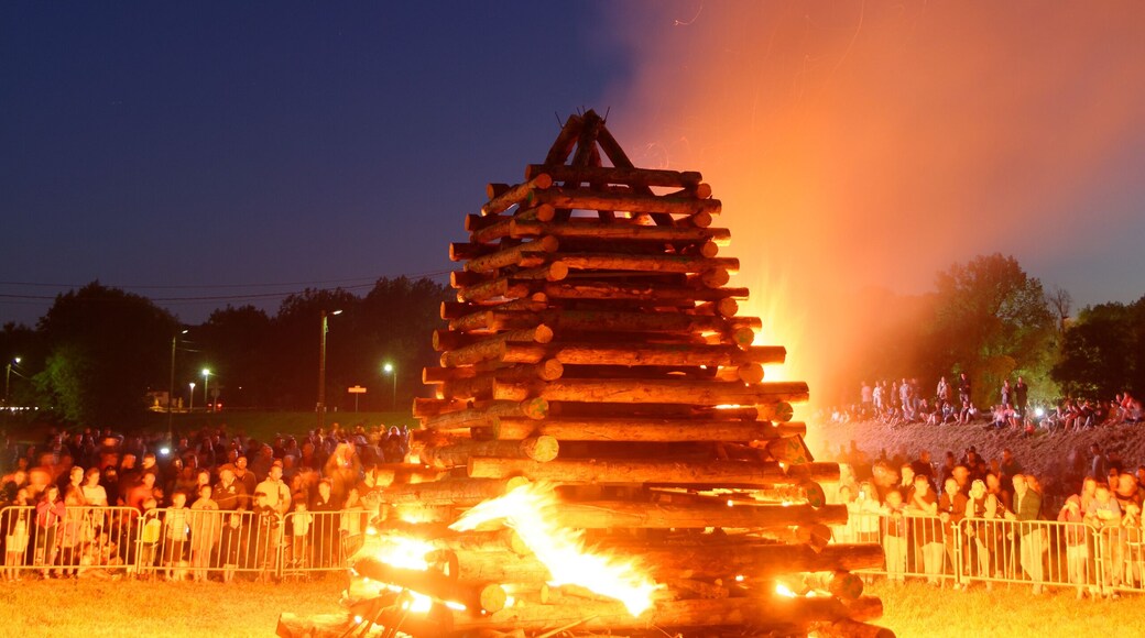 Personality rights Personality rights warningAlthough this work is freely licensed or in the public domain, the person(s) shown may have rights that legally restrict certain re-uses unless those depicted consent to such uses. In these cases, a model release or other evidence of consent could protect you from infringement claims. Though not obliged to do so, the uploader may be able to help you to obtain such evidence. See our general disclaimer for more information.