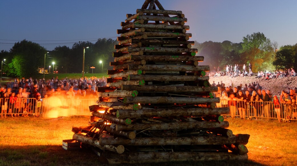 Personality rights Personality rights warningAlthough this work is freely licensed or in the public domain, the person(s) shown may have rights that legally restrict certain re-uses unless those depicted consent to such uses. In these cases, a model release or other evidence of consent could protect you from infringement claims. Though not obliged to do so, the uploader may be able to help you to obtain such evidence. See our general disclaimer for more information.