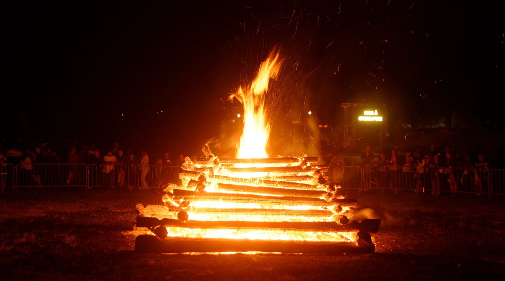 Personality rights Personality rights warningAlthough this work is freely licensed or in the public domain, the person(s) shown may have rights that legally restrict certain re-uses unless those depicted consent to such uses. In these cases, a model release or other evidence of consent could protect you from infringement claims. Though not obliged to do so, the uploader may be able to help you to obtain such evidence. See our general disclaimer for more information.