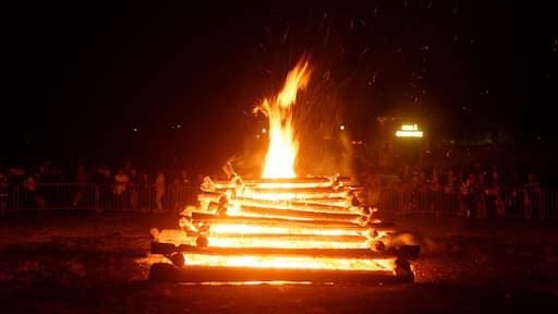 Personality rights Personality rights warningAlthough this work is freely licensed or in the public domain, the person(s) shown may have rights that legally restrict certain re-uses unless those depicted consent to such uses. In these cases, a model release or other evidence of consent could protect you from infringement claims. Though not obliged to do so, the uploader may be able to help you to obtain such evidence. See our general disclaimer for more information.