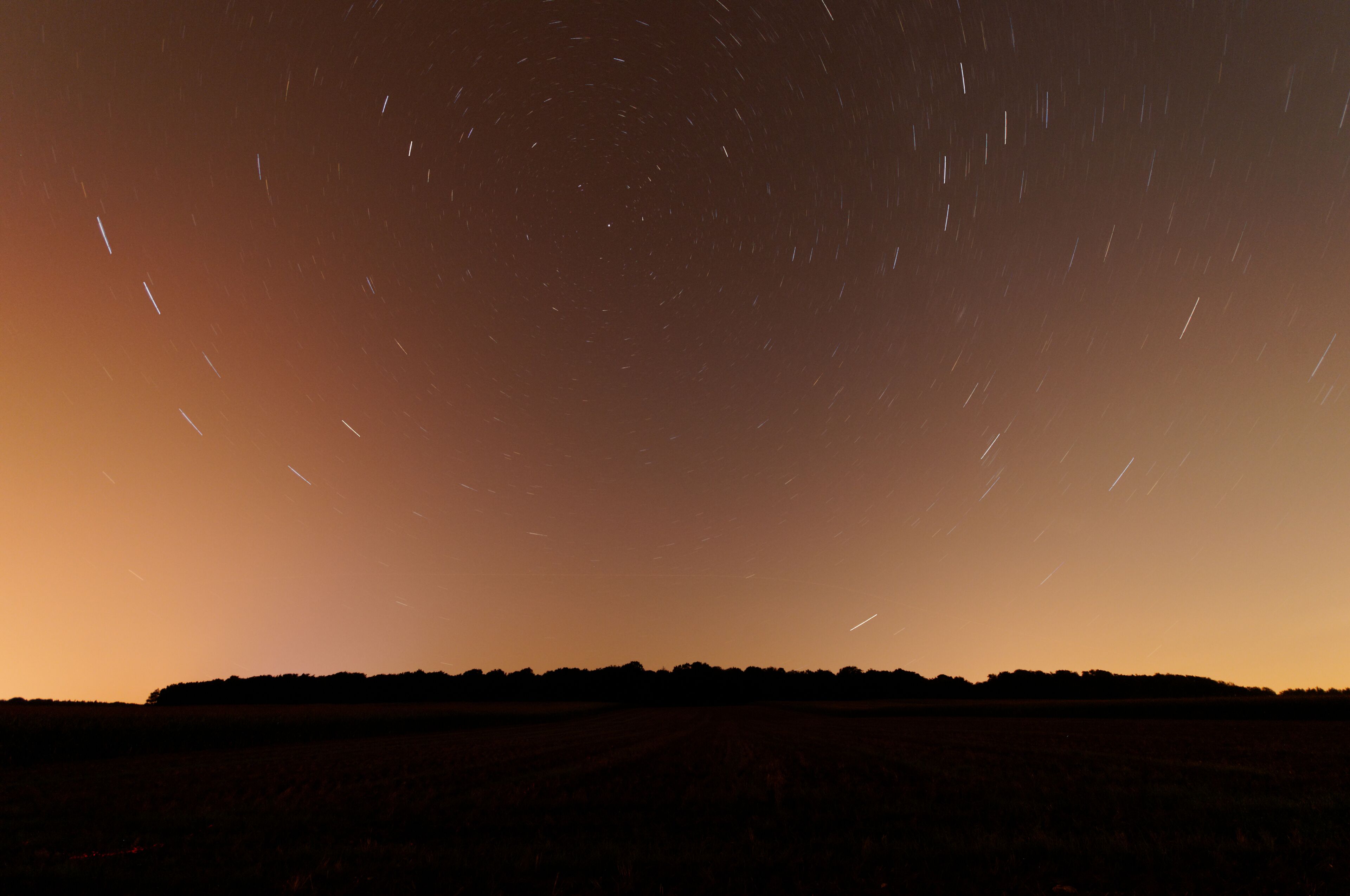 This file was uploaded with Commonist. This photograph was taken with a Nikon D300. Filé d'étoiles.