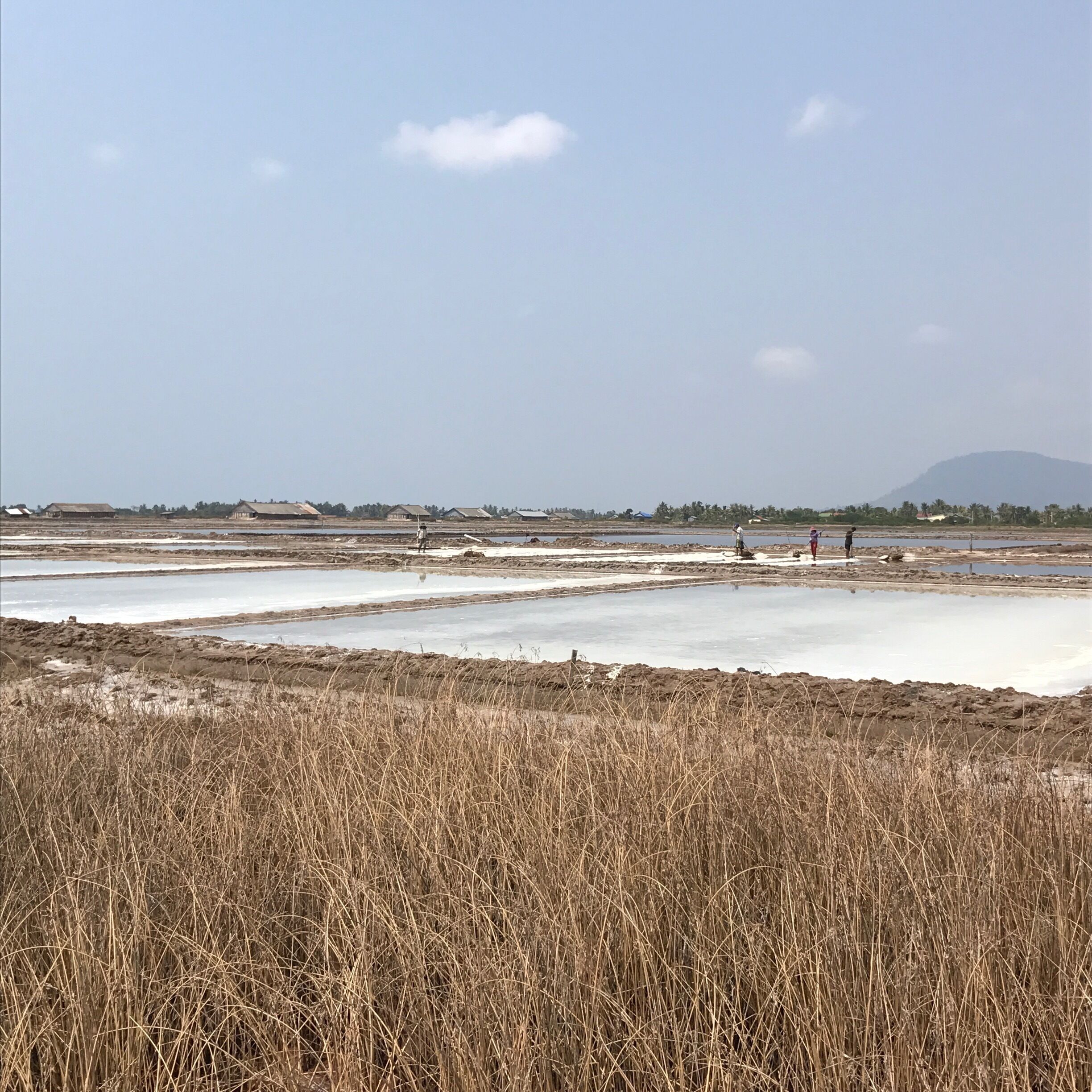 Only a few kilometers from Kampot (motorbike recommended - 5$ a day). So impressive ! • Mar 2017