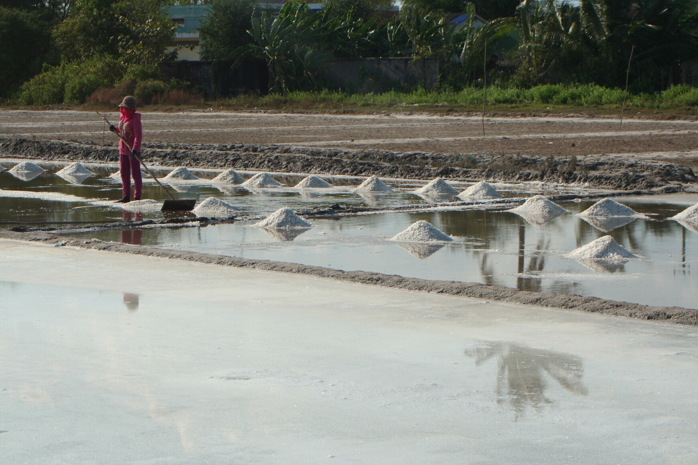 The salt fields near Kampot are a scenic place to visit on your way to Kep or the pepper plantations.
