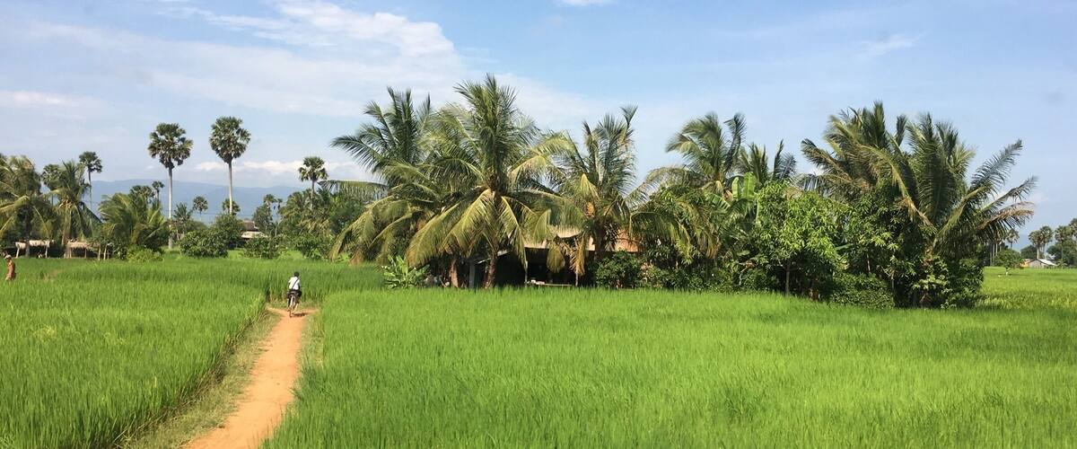 #green The bad thing about visiting Cambodia in October is that it still pretty hot and horribly humid. The good thing is that it's almost time for the rice harvest and the entire countryside is a beautiful vibrant green.