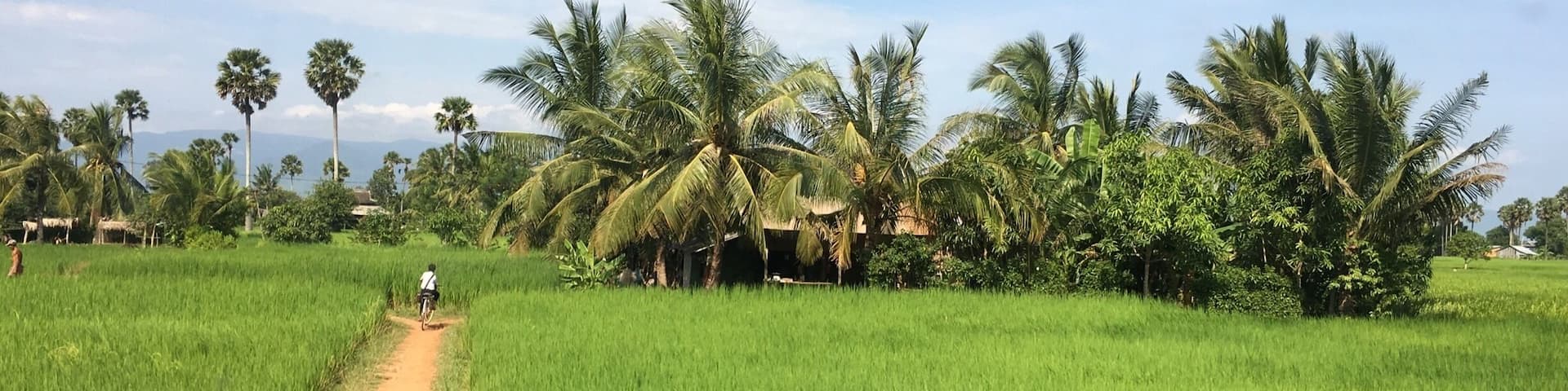 #green The bad thing about visiting Cambodia in October is that it still pretty hot and horribly humid. The good thing is that it's almost time for the rice harvest and the entire countryside is a beautiful vibrant green.