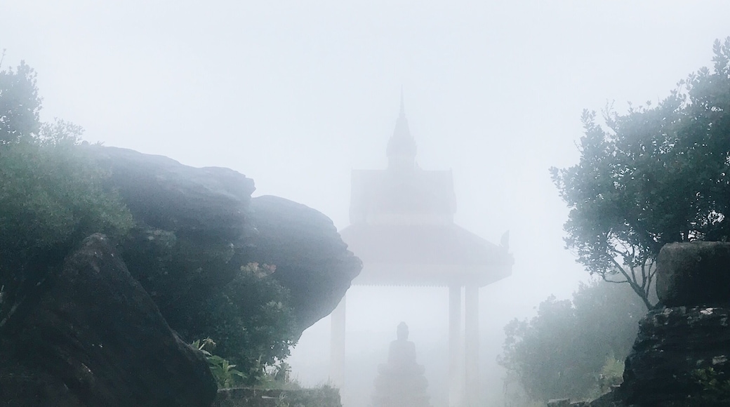 Bokor Hill temple, in the area known as ”ghost town”. I can see why!