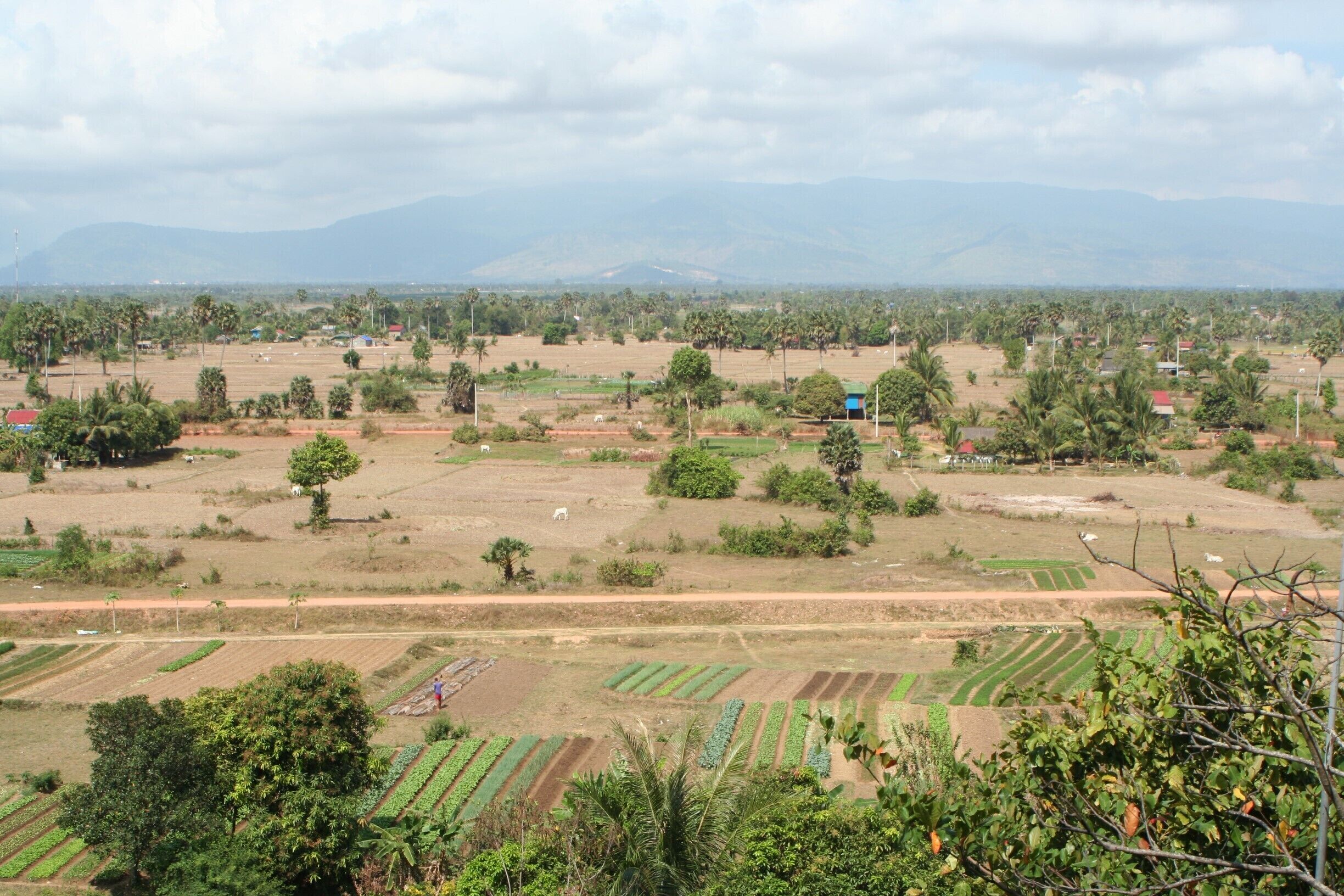 The view from halfway up the stairs to the cave temple in the countryside around Kampot. Don't just get out here for the temple though. The scenery in this area is stunning.
