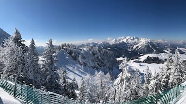 Nice weather for skiing #austria #gosau #europe #iphonex #iphone #panorama #sun #sunny #skiing #snow #brendanvanson #nature #upperaustria #fun #sport #goodtimes #BvSBlue