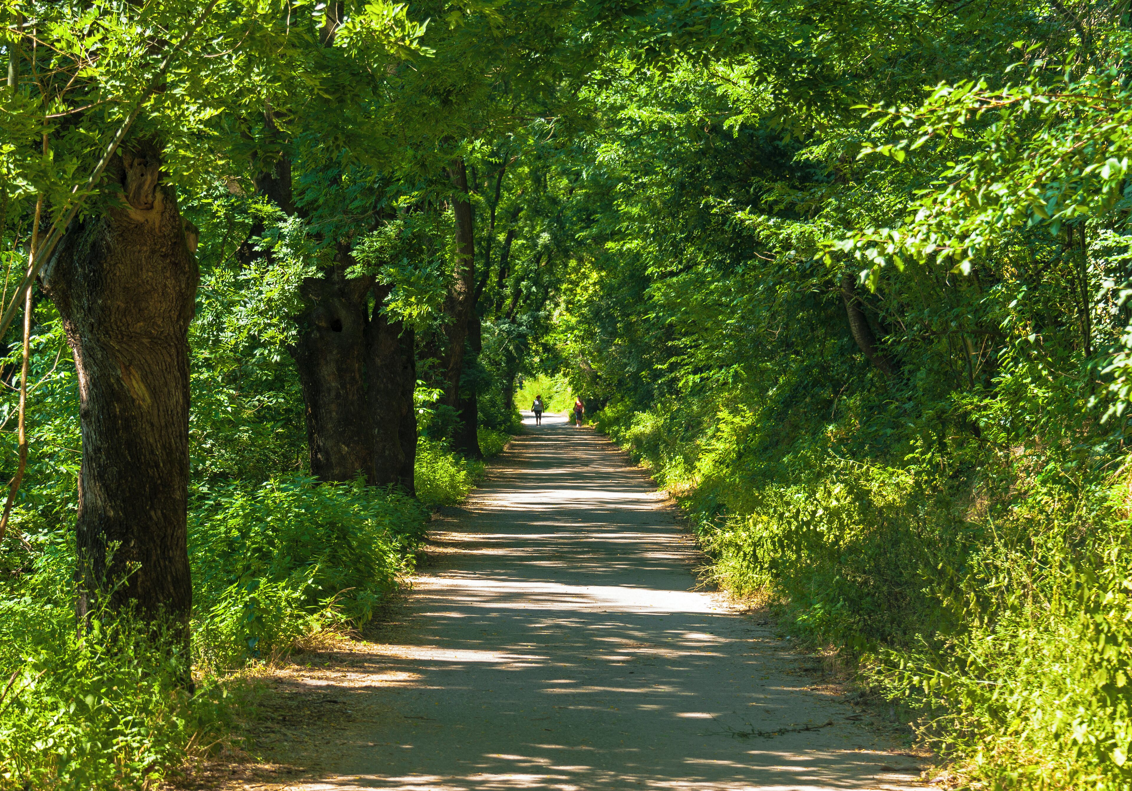 Paved walkway along Adda River between Crespi d'Adda and footbridge to Trezzo sull'Adda