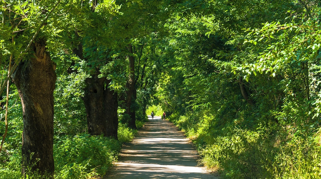 Paved walkway along Adda River between Crespi d'Adda and footbridge to Trezzo sull'Adda