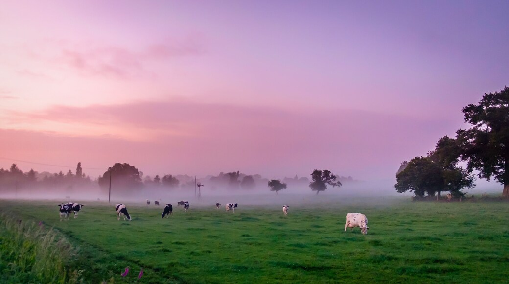 Sainte-Gauburge-Sainte-Colombe