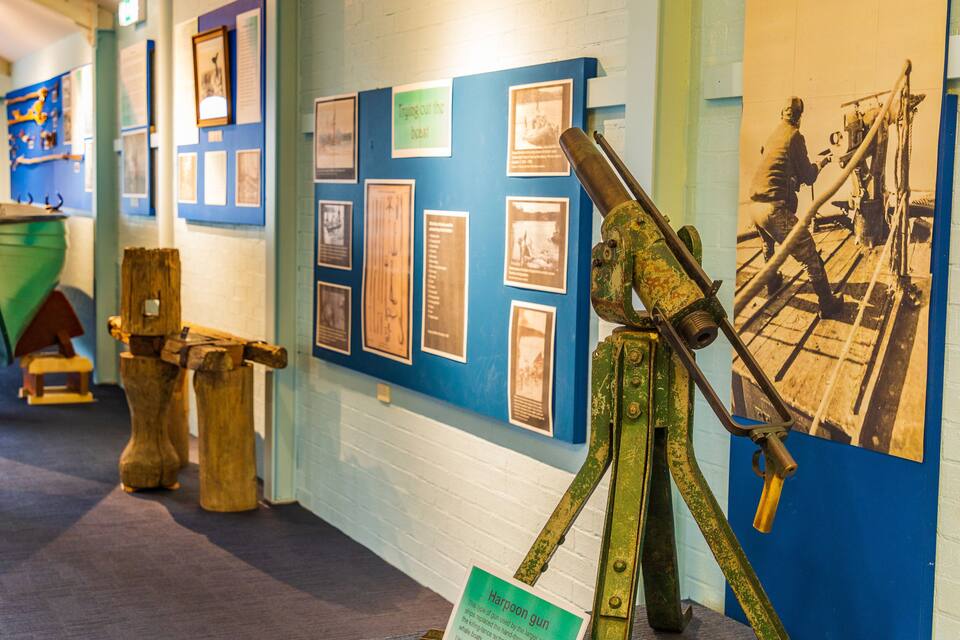 A museum exhibit with historical artifacts, including a large gun on a tripod and various framed pictures on the wall.