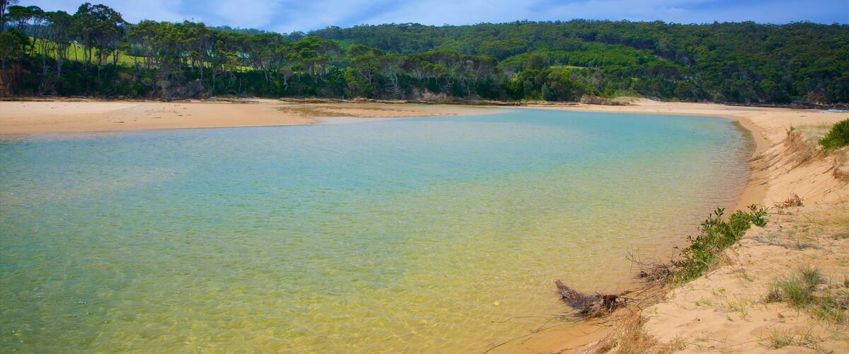 A clear coastal beach with a sandy shore and a forested hill in the background.