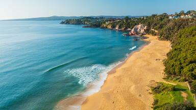Aslings Beach showing general coastal views, a sandy beach and landscape views