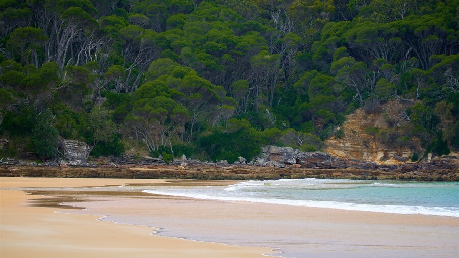 Aslings Beach featuring a beach and general coastal views