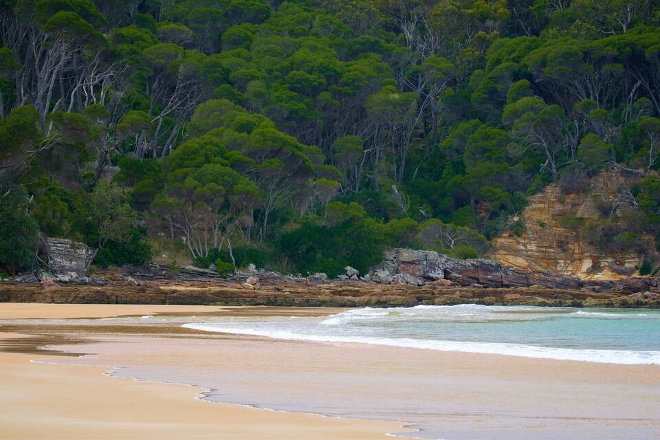 A beach with clear turquoise waters, sandy shore, and dense green forest in the background.
