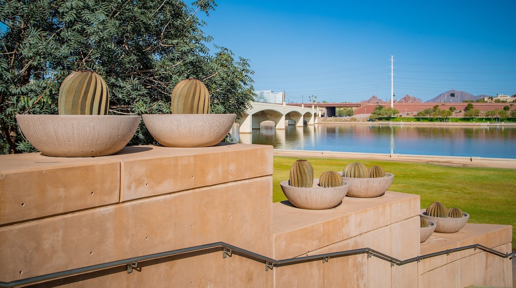 Tempe Town Lake showing a garden