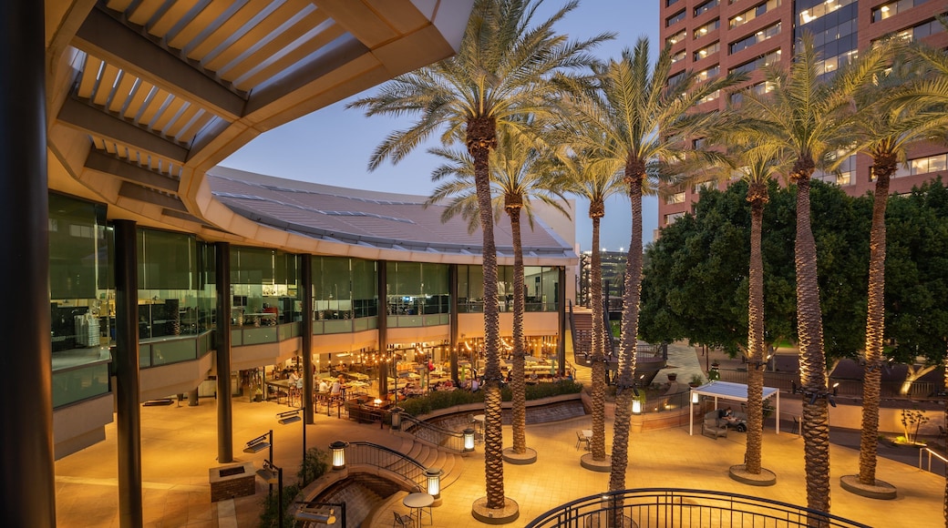 Arizona Center showing night scenes