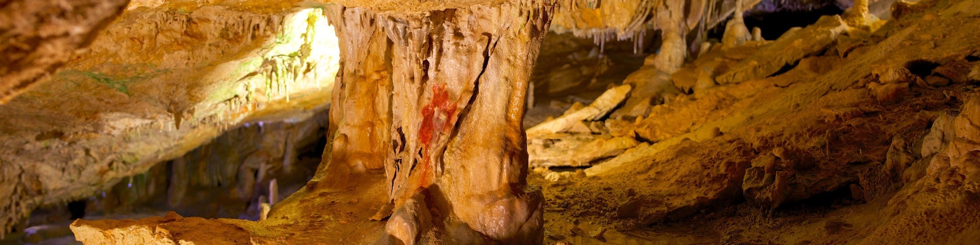 Cova de Can Marca showing interior views and caves