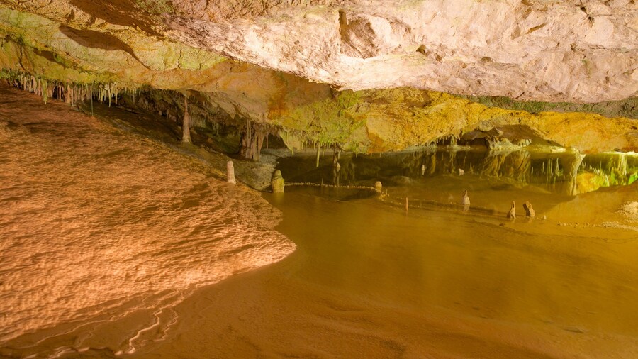 Cova de Can Marca presenterar grottor och en sjö eller ett vattenhÄl