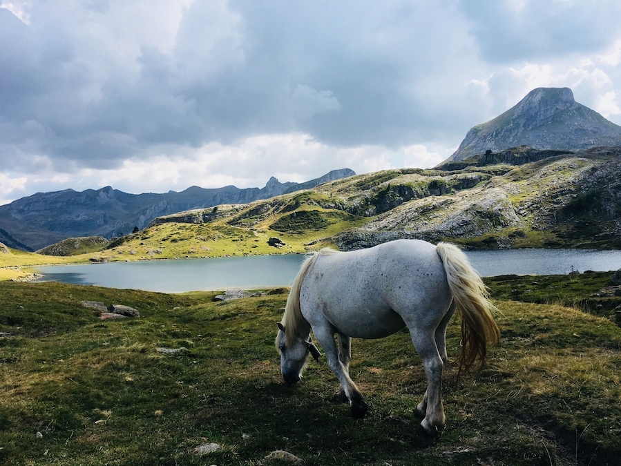 Belle rando dans les montagnes , multitude de lacs et une cascade à voir :)