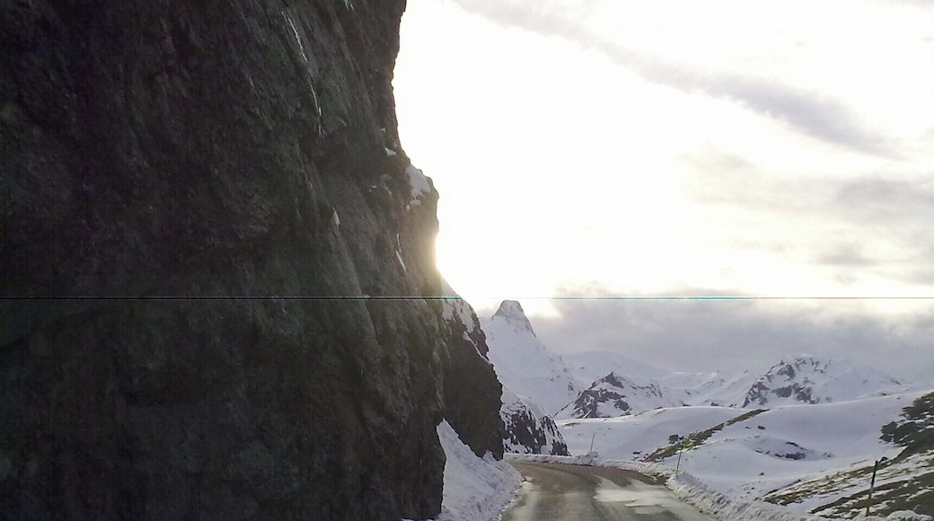 Route nationale 134bis