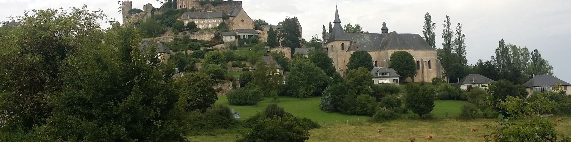 A historic castle on a hill with surrounding greenery and a small stream.