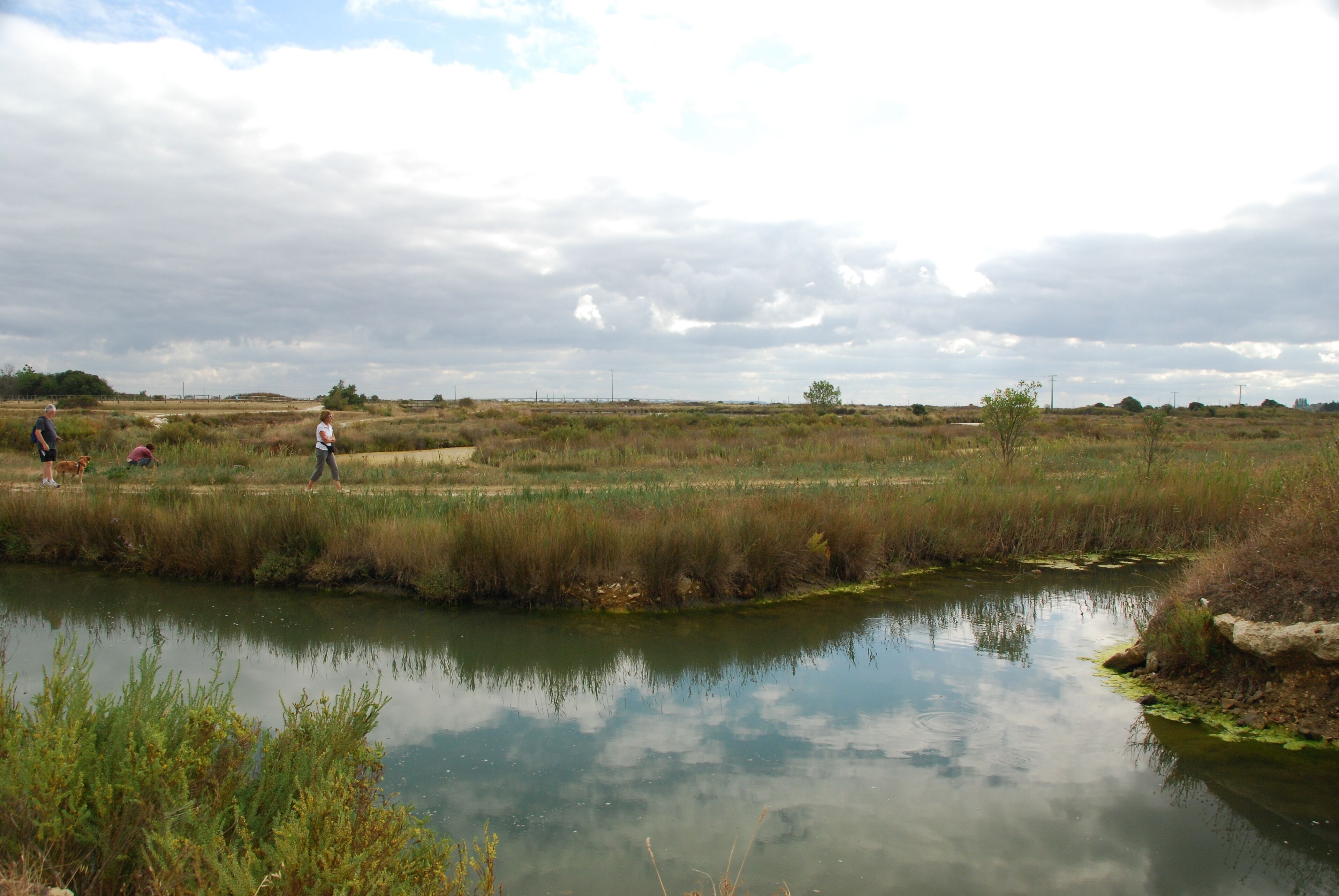 Vue de l'île d'Oléron.