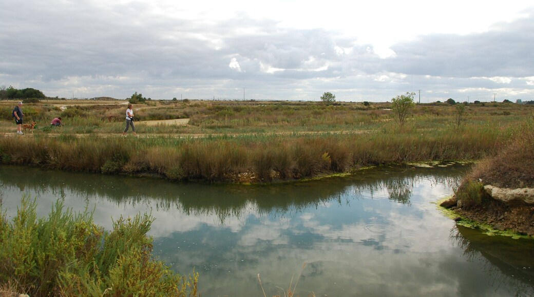 Vue de l'île d'Oléron.