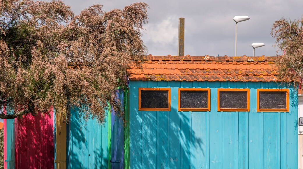 ๋ฅด ๊ทธ๋ ๋น๋ฆฌ์ง ํ๋ผ์ฆ