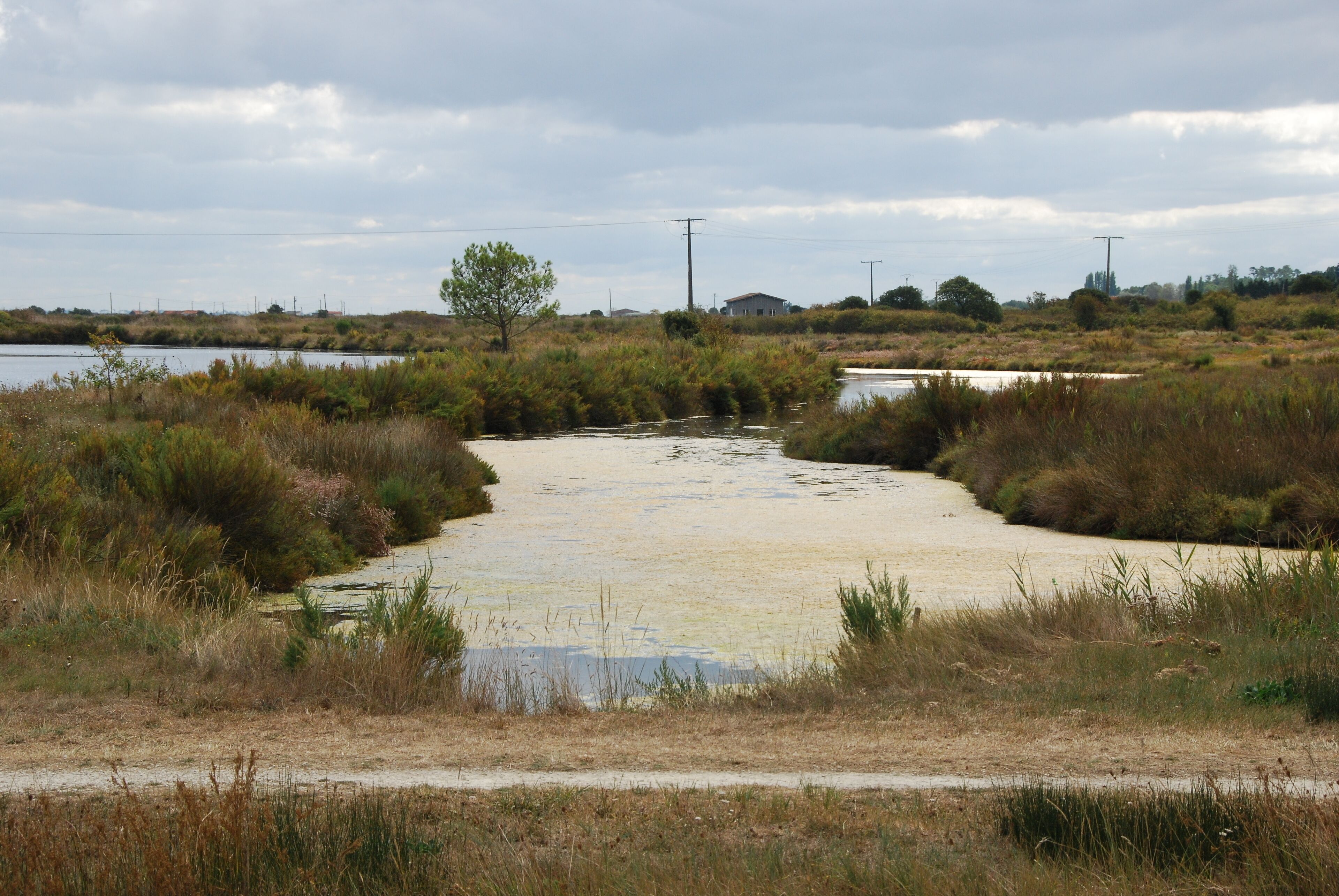 Vue de l'île d'Oléron.