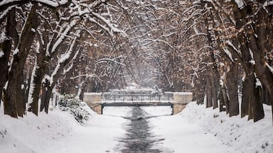 Uma trilha coberta de neve ladeada por árvores, conduzindo a uma ponte sobre um riacho.