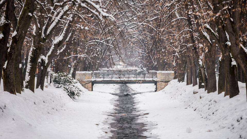 A snow-covered pathway flanked by trees, leading to a bridge over a stream.