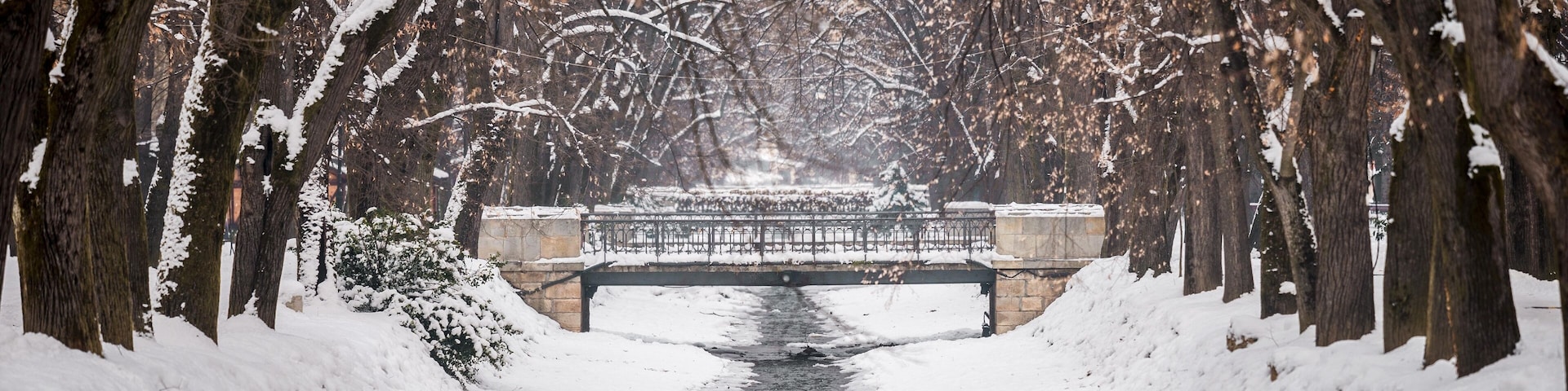 Un sendero cubierto de nieve bordeado de árboles que conduce a un puente sobre un arroyo.