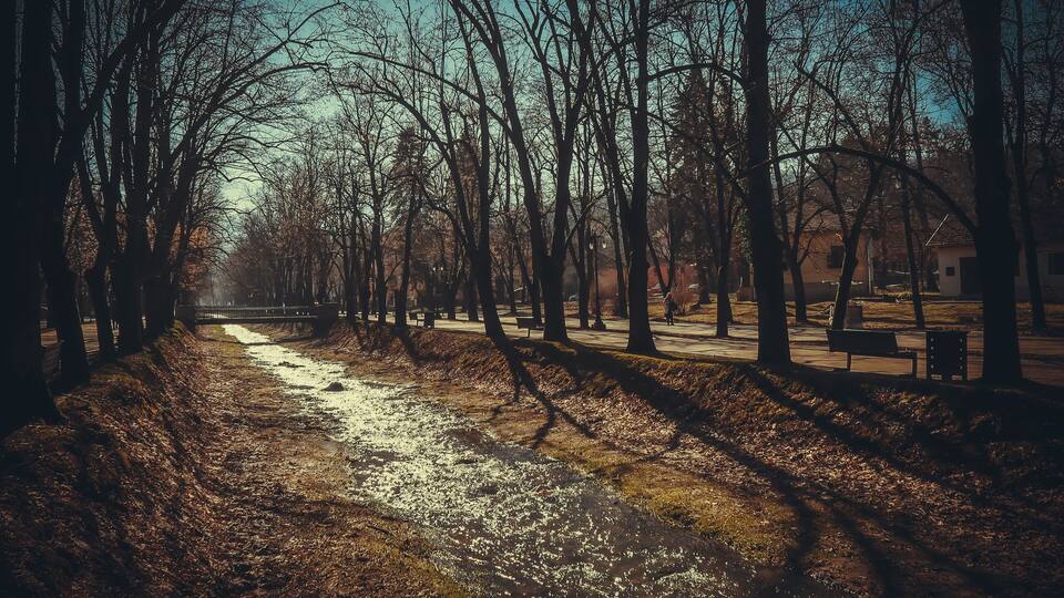 A park with a stream, benches, and leafless trees.