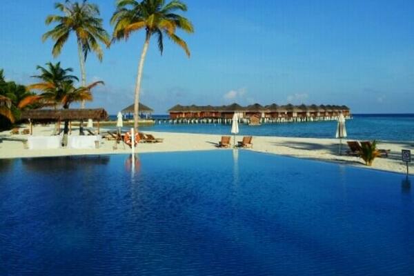 Ein klares, blaues Schwimmbecken, umgeben von Palmen und Bungalows auf Stelzen.