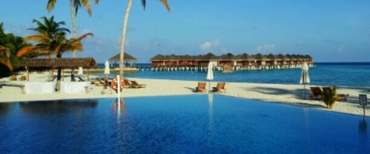 A clear blue pool surrounded by palm trees and overwater bungalows.