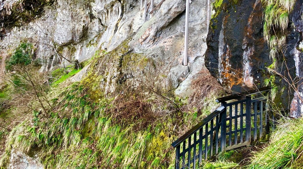 Temple build inside the mountain in Japan
