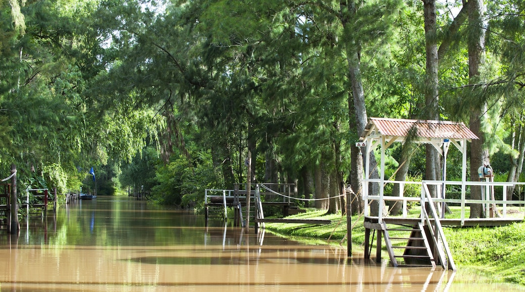 A flooded park with a wooden gazebo and a bridge.